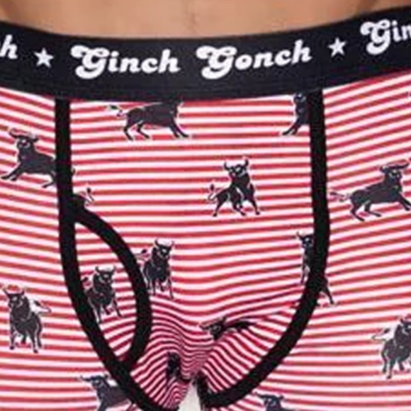 Ginch Gonch Boxer Brief Statement Graphic Underwear Long Leg Stripe Wild Bulls - Picture 3 of 9